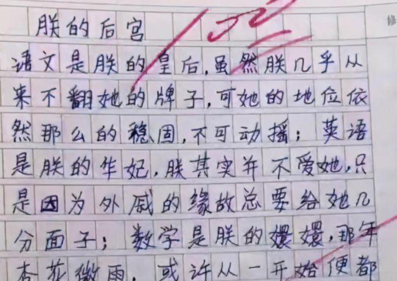 我的小姨小学生作文,三年级我的小姨作文300字
