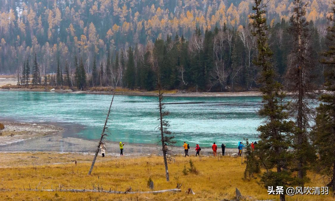 真实新疆人的生活视频,新疆人的生活好精致