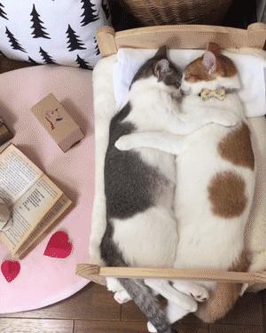 球不是这样踢滴搞笑图片,足球趣图搞笑图片