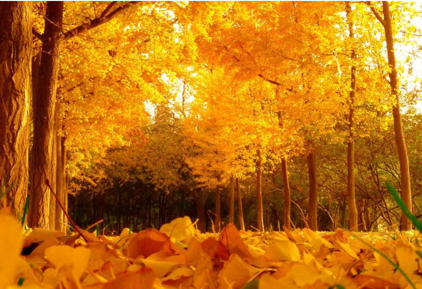 原创诗词14首,经典诗词36首