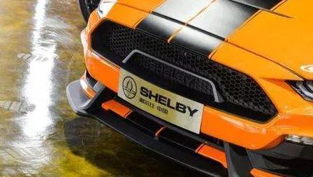 谢尔比gte是谢尔比吗,谢尔比gt500和谢尔比gte