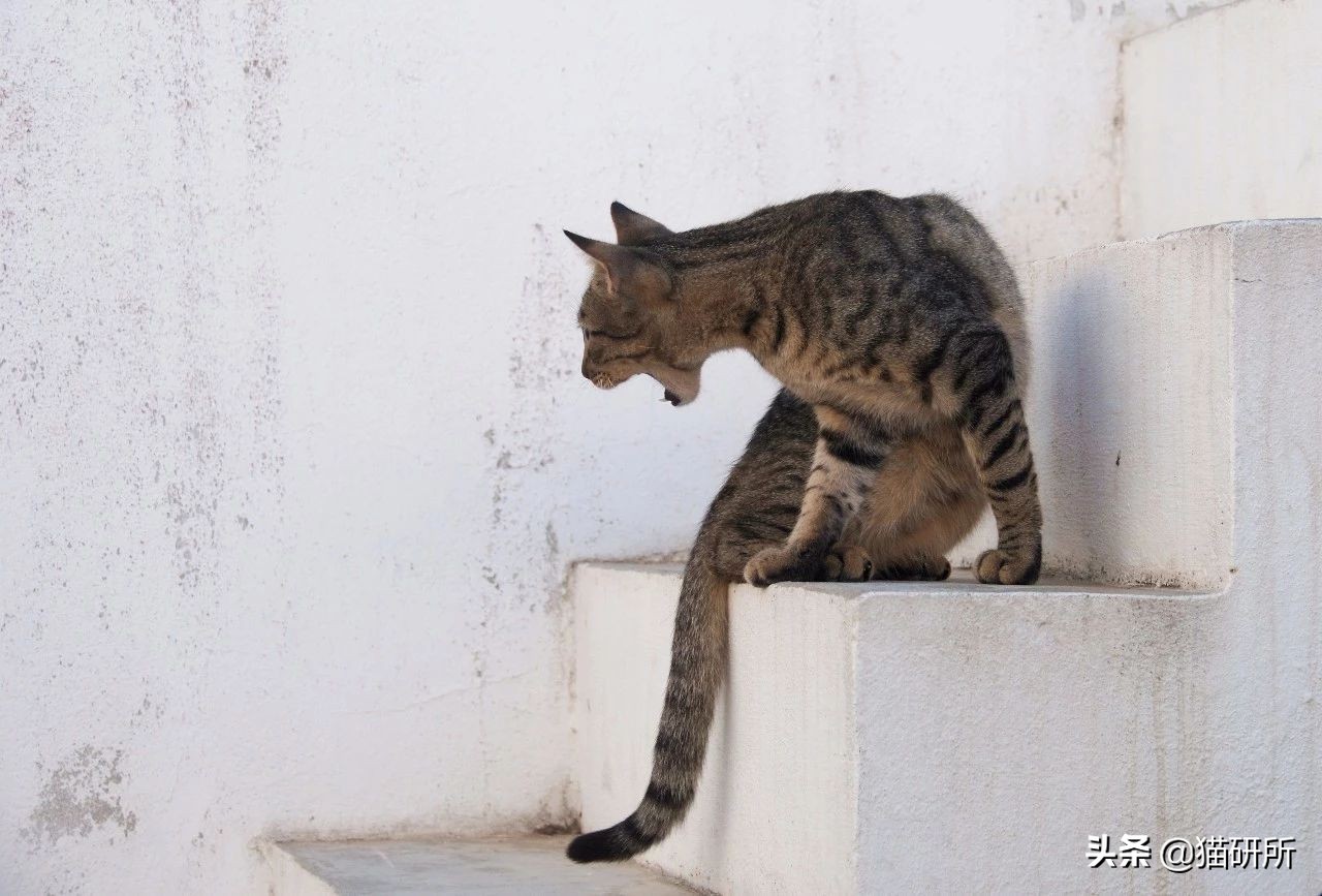 在外受气回家打儿子,在外受欺负回家打老婆孩子