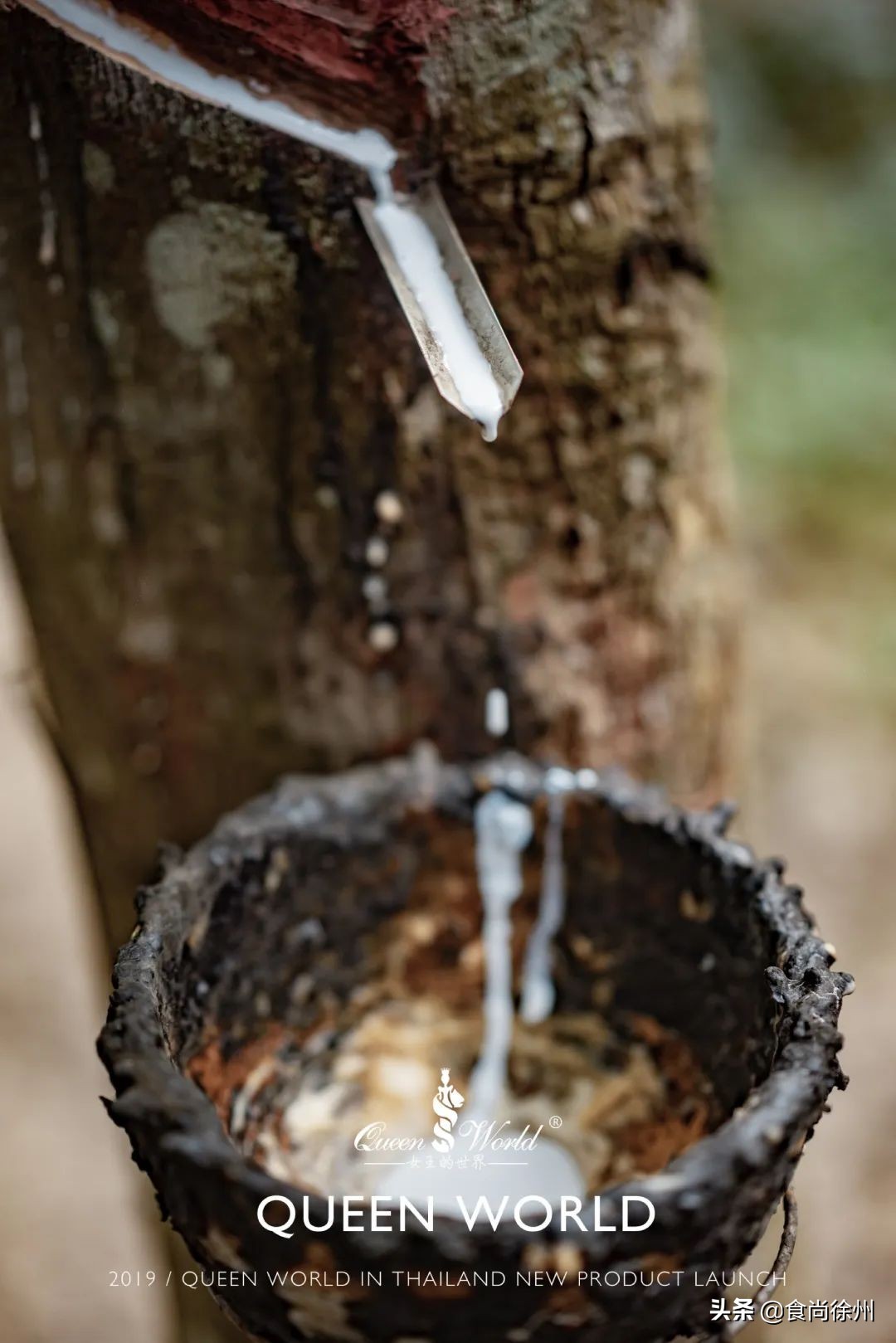 徐州甜品女王成功转型内衣女王，还开了首家甜品+内衣跨界店