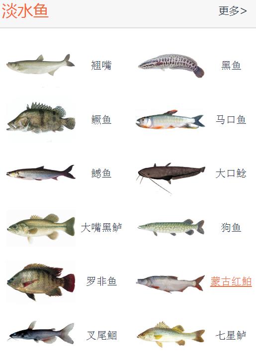 路亚竿上的数据参数怎么看,新手入门路亚如何选择钓竿