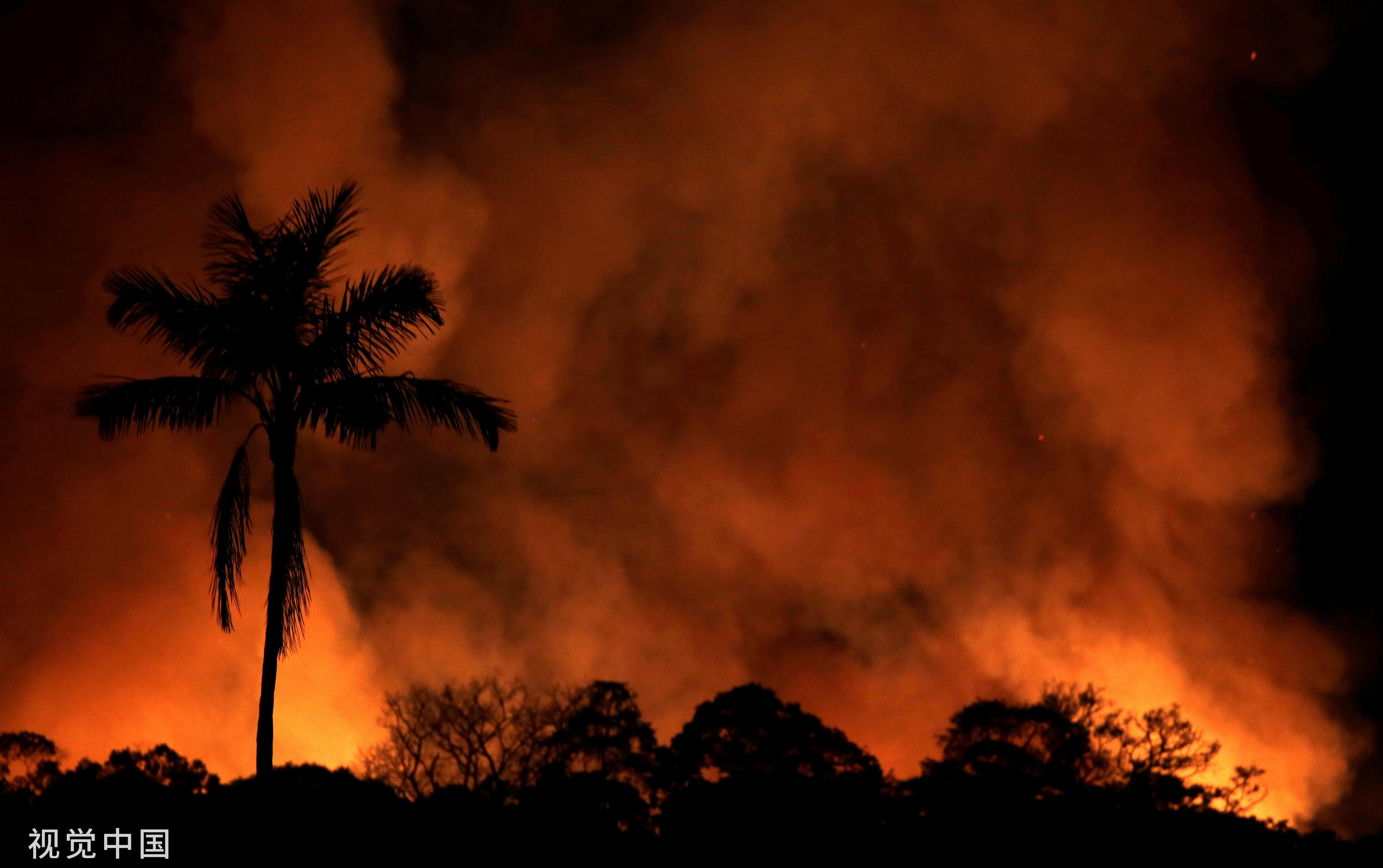 亚马逊大火灭了没,亚马孙大火辟谣