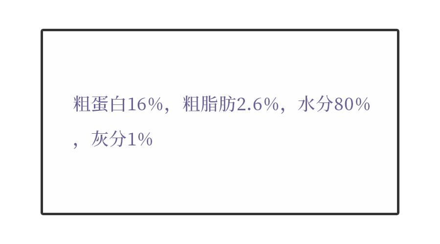猫咪的主食罐推荐,k9猫咪主食罐头测评