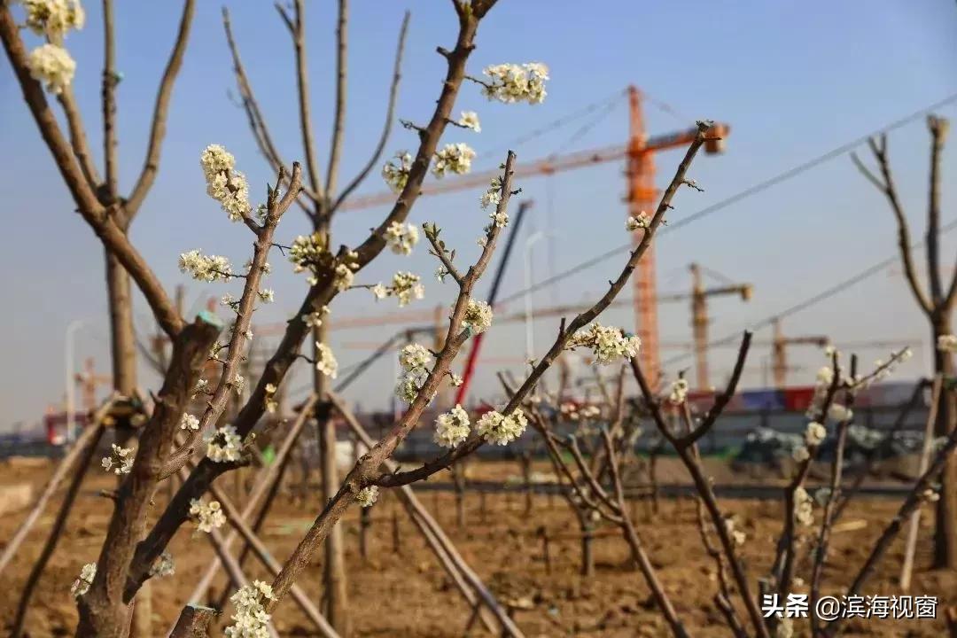 天津市今年地铁项目有哪些,天津新增地铁路线