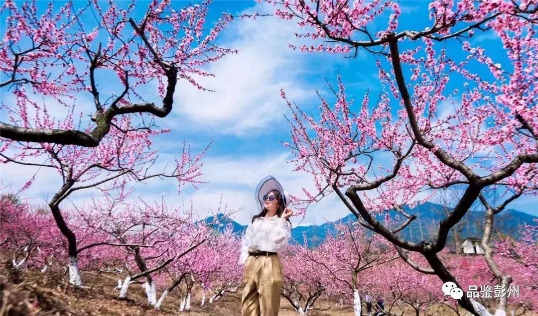 五朵金花抱团,彭州未来的发展