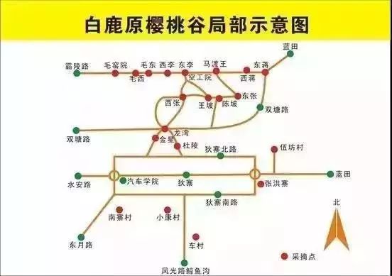 说走就走的樱桃采摘之旅,樱桃采摘园一日游攻略