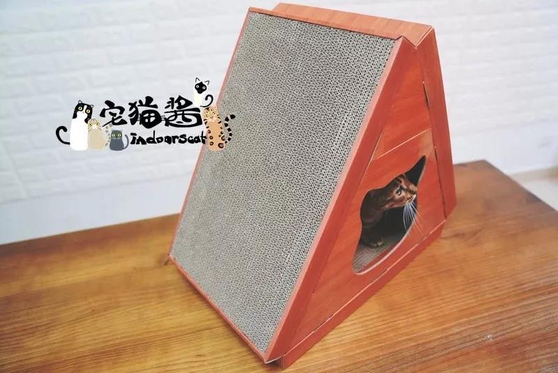 怎样写一份完美的养猫手册,新手养猫手册怎么写