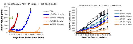 西北大*联学**合上交大开发超高通量抗体芯片并应用于规模化抗体制备