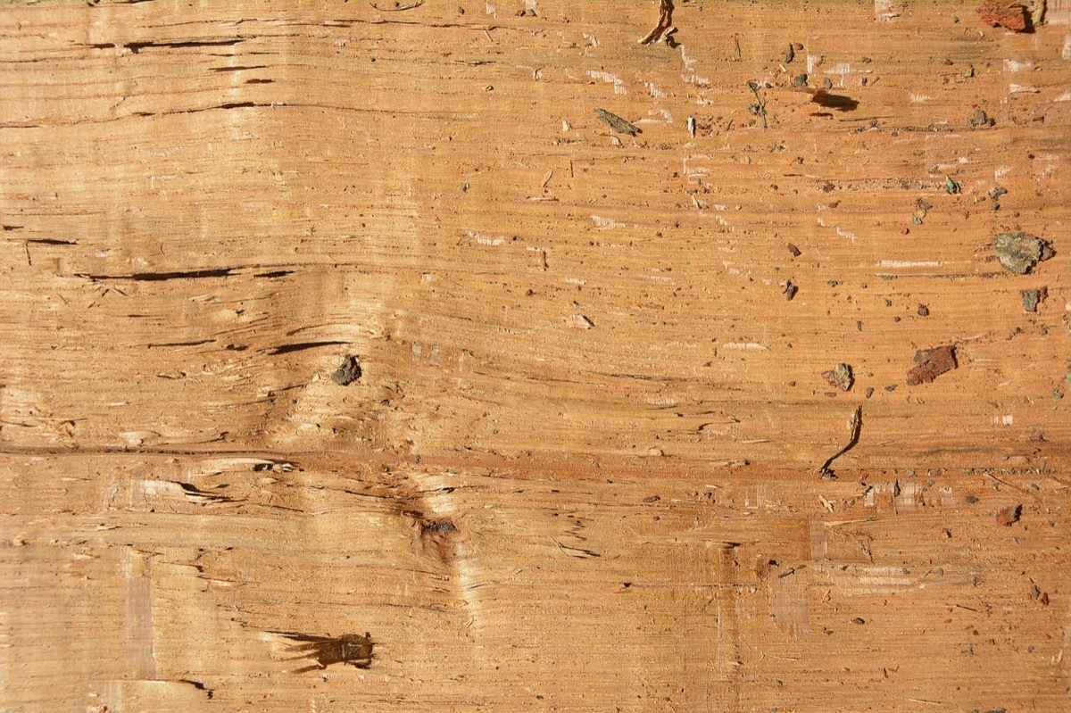 设计师福利模板,设计师必备100件用品