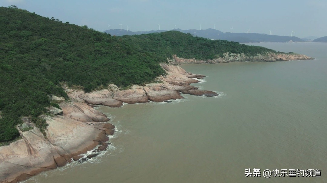 怎样用台钓的方法钓鲻鱼,钓鲻鱼做法