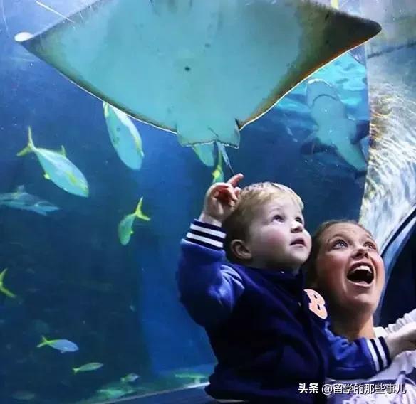 墨尔本亲子游旅游攻略大全,墨尔本亲子游攻略