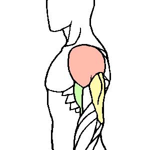 提高宝宝运动能力的玩具推荐,适合儿童的启蒙玩具