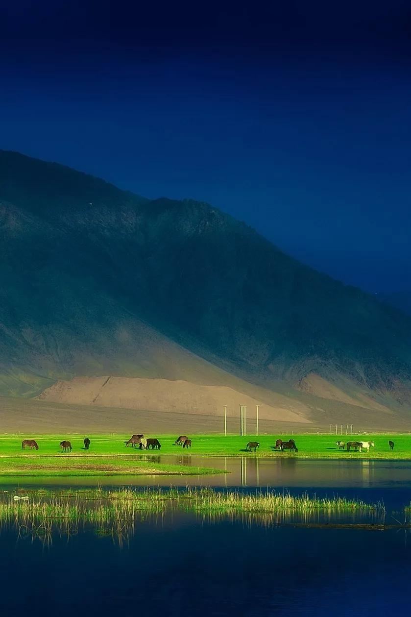 阿里景点攻略大全最新图片,阿里的旅游景点有哪些