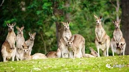 中国气候宜居城市2021,2021亚洲最宜居城市