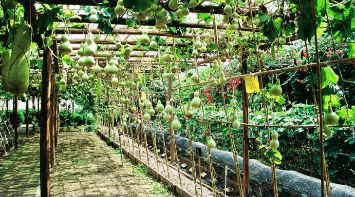 青青世界深圳好玩吗,深圳青青世界要门票吗