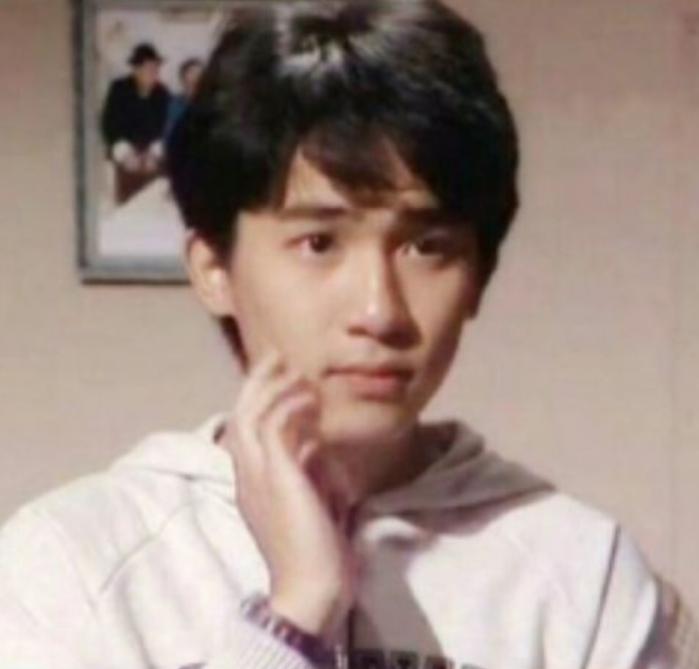 香港一级演员刘德华,香港国家一级演员有刘德华么