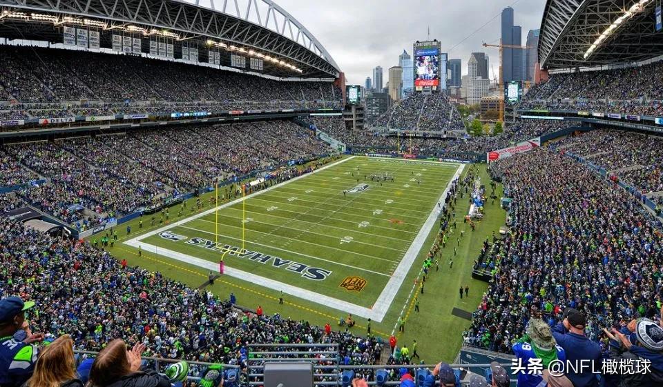 nfl球场上空飞机飞过,nfl球场是什么草皮