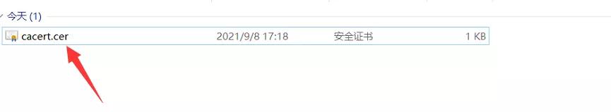 谷歌浏览器导入burp证书教程