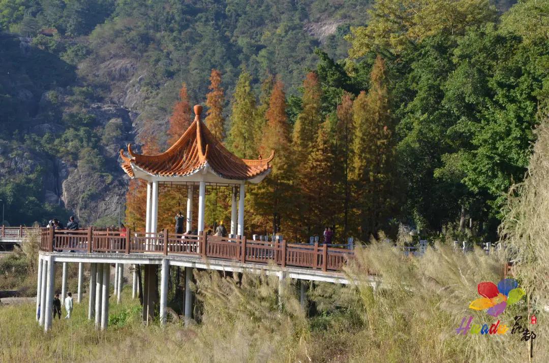 遇见芙蓉是啥意思,遇见芙蓉川菜