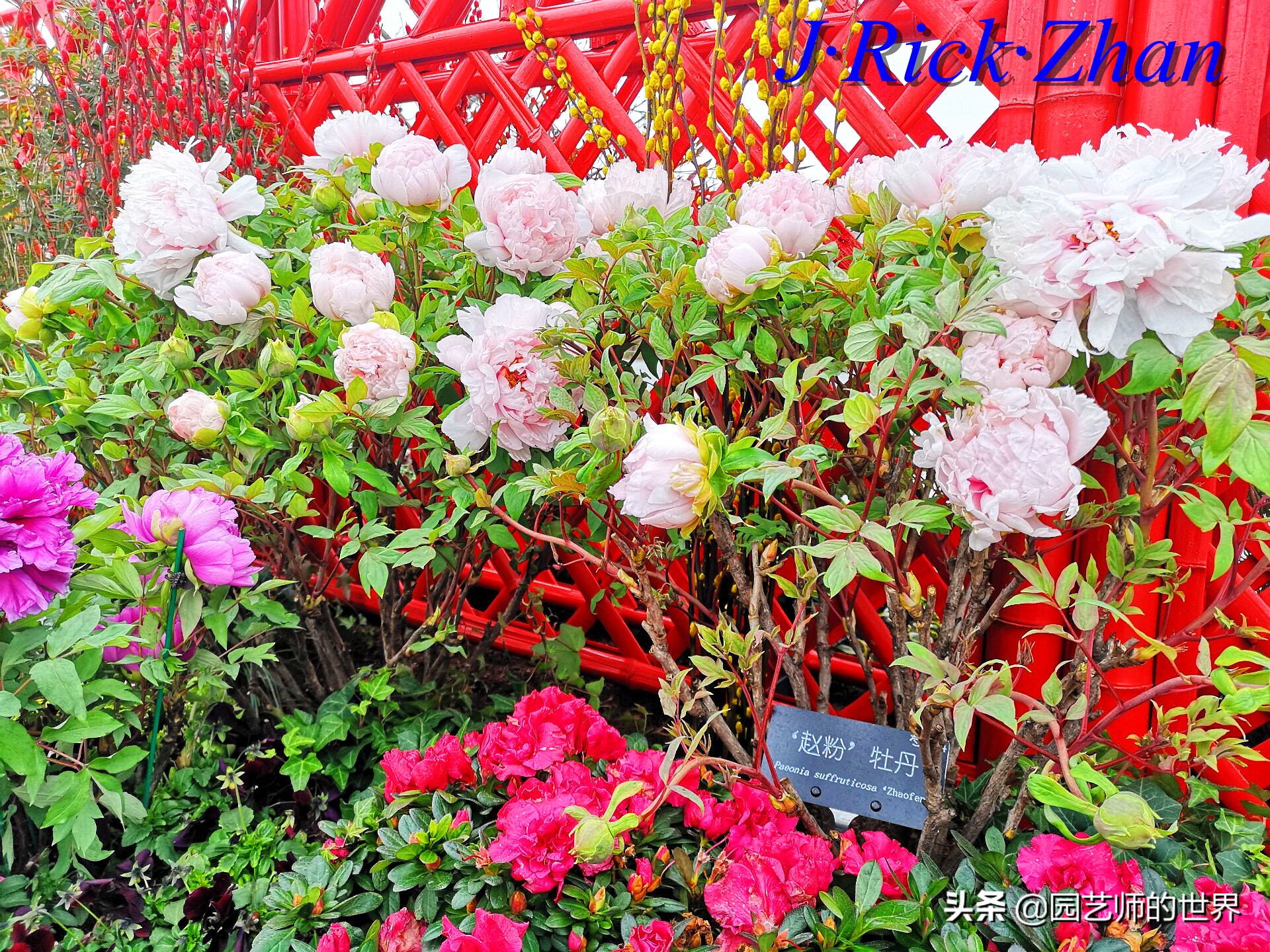 园艺研学报告,园艺园林研学