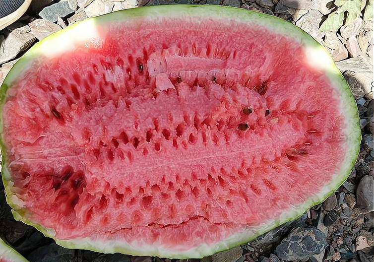 很受欢迎的一种西瓜，生长在石头缝里，明年或被禁种，吃不到了