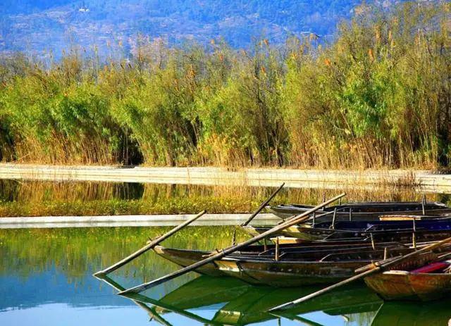 浜戝崡瀹夊畞娓╂硥灏忛晣,浜戝崡鏌娓╂硥灏忛晣