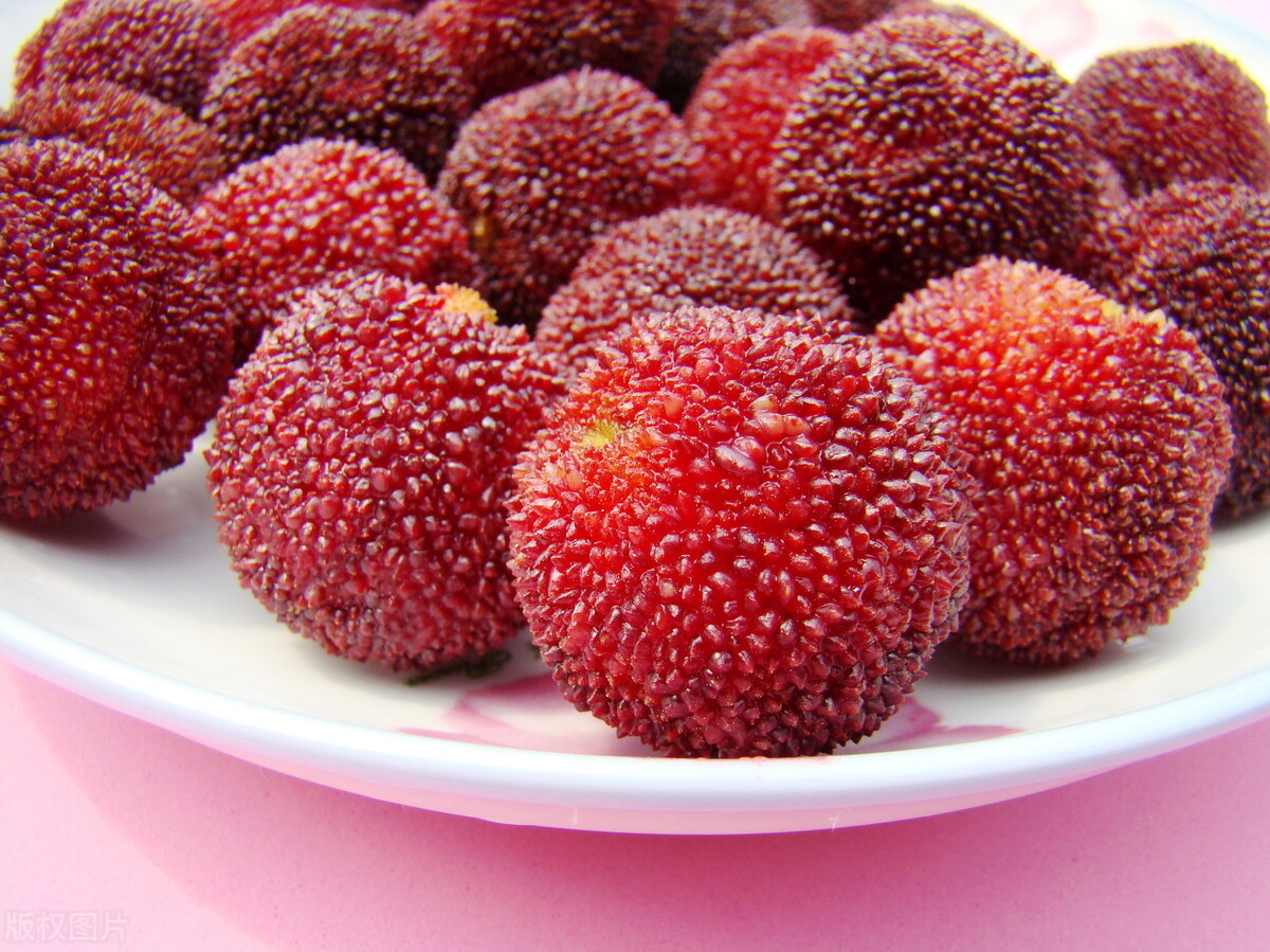 一斤杨梅要泡多少斤酒,一斤杨梅泡几斤白酒多少冰糖