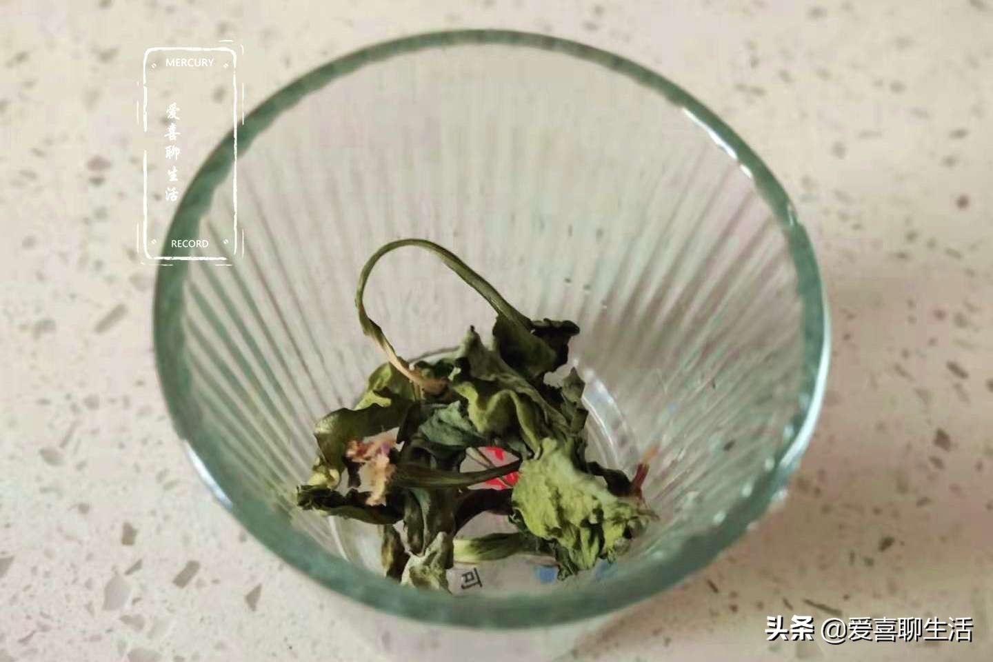 车前草新鲜,哪个季节的车前草泡水喝最好