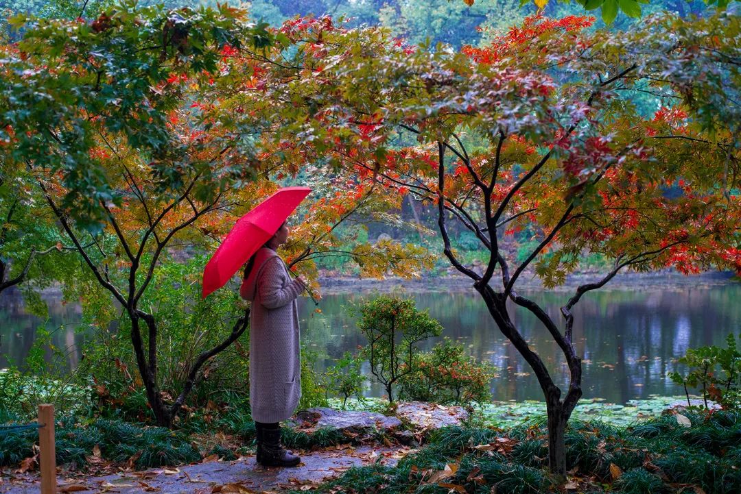 让情绪流动起来，才是“减龄”的密钥