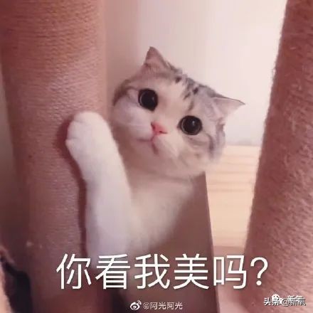 杨超越还能撑多久,杨超越遇到的真实事件