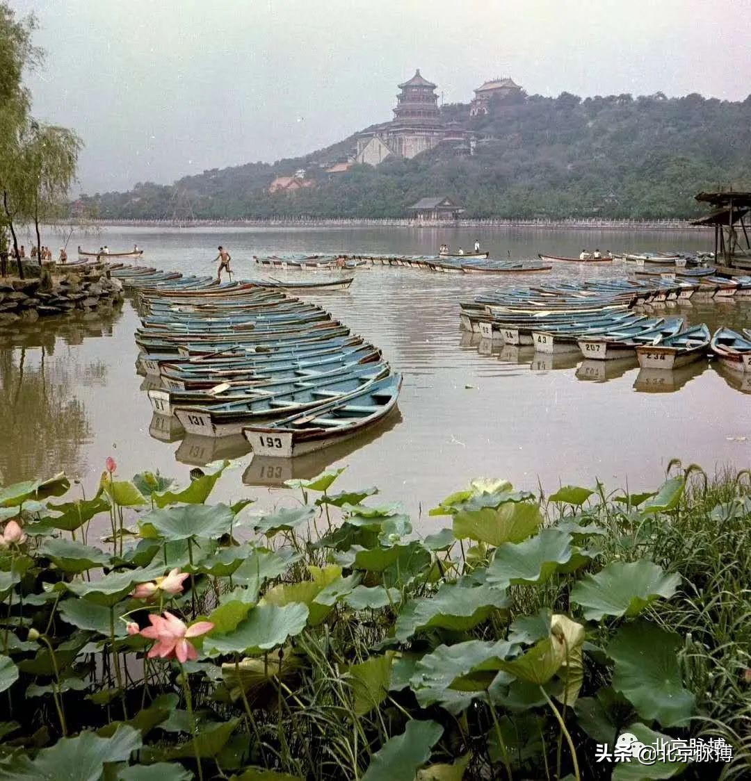 记忆中的北京绘画,这些画最能还原真实的老北京