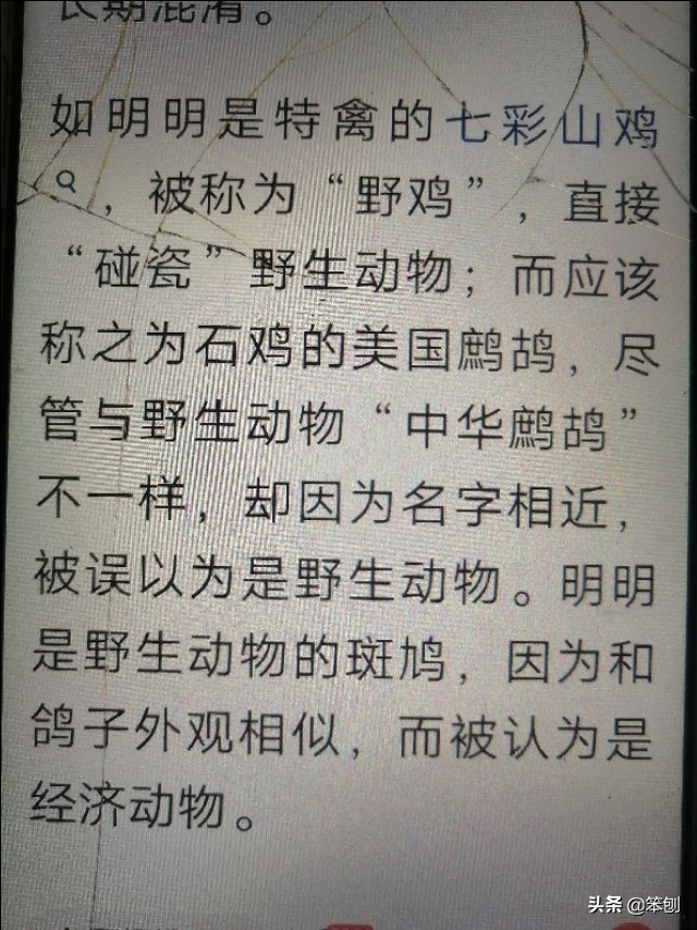 七彩山鸡成本利润大吗,七彩山鸡的价值