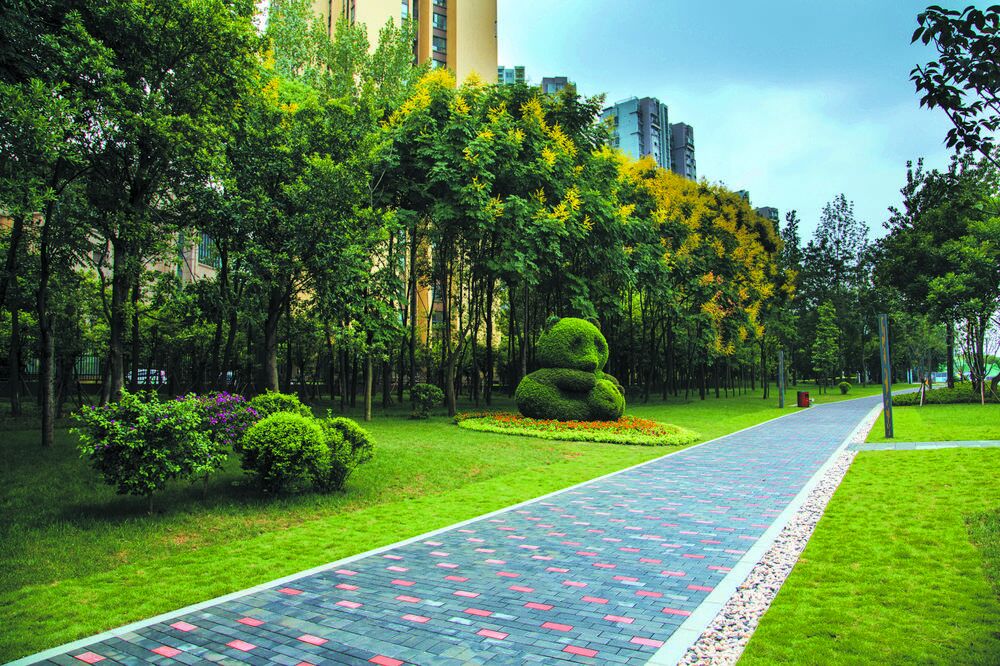 改革开放40年成都加快构建大美公园城市形态