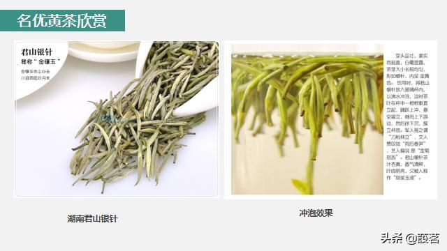 茶叶知识零基础入门手册书电子版,茶叶基础知识讲解课件视频