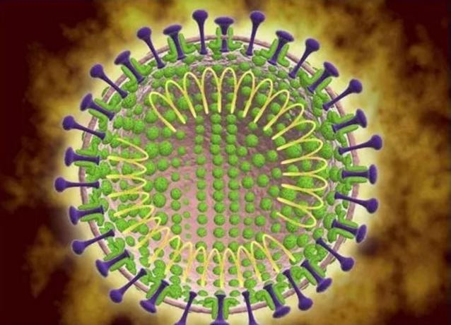 冠状病毒的来源大揭秘最新进展,冠状病毒发源地到底是怎么来的