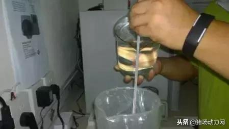 公猪精子稀释后多少密度是正常的,公猪精子一百毫升能稀释多少毫升