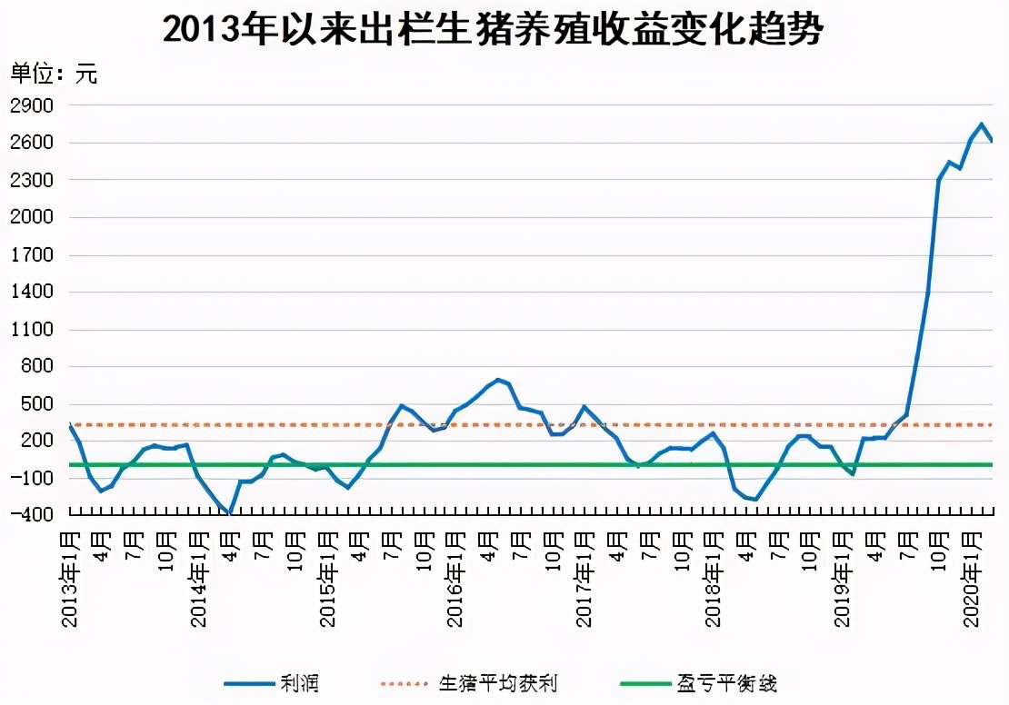 年薪30万，越来越多的大学生，毕业后去养猪