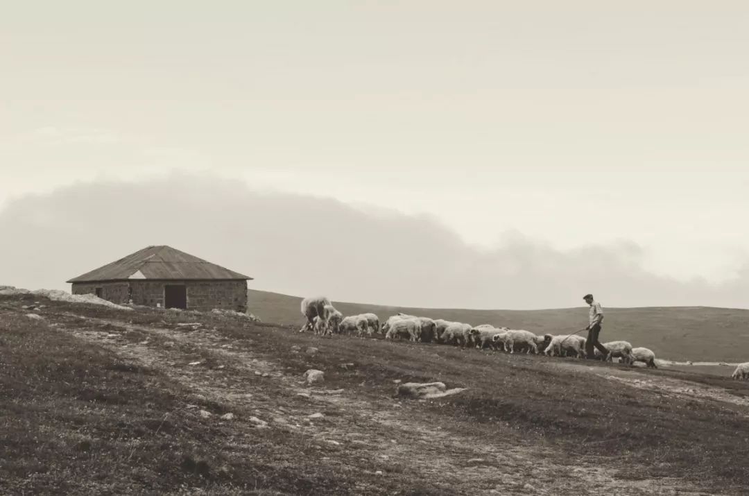 VSCO滤镜介绍,vsco对镜拍照滤镜调色教程