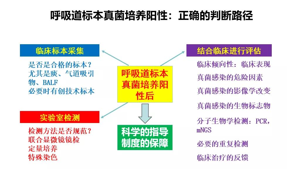 真菌培养及鉴定是阳性严重吗,怎么鉴别肺部真菌感染