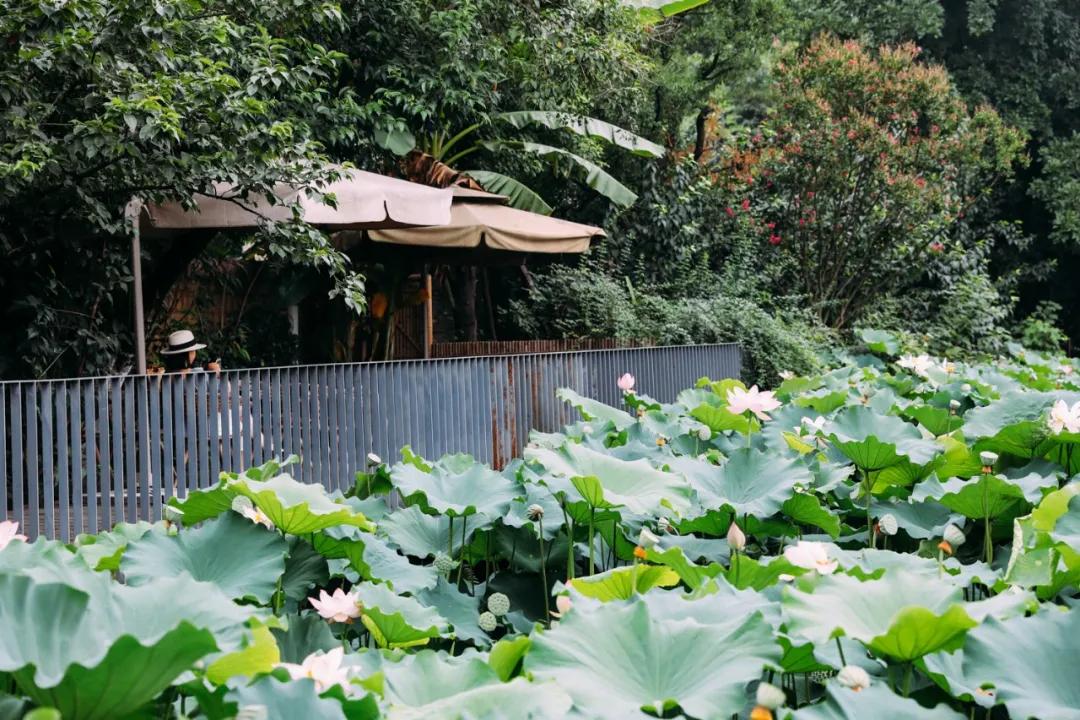 周末去哪里玩成都室内,周末去哪儿玩儿成都周围