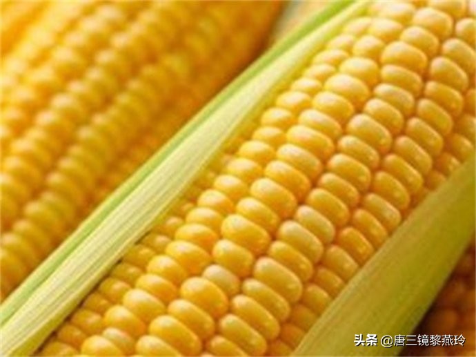 玉米高粱酿酒的正确配糟方法,唐三镜糯米酒做法