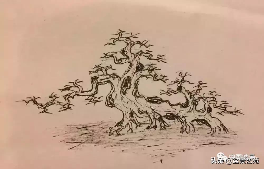 鏈存爲寰楀鐩嗘櫙,椤剁骇鏈存爲鐩嗘櫙娆ｈ祻