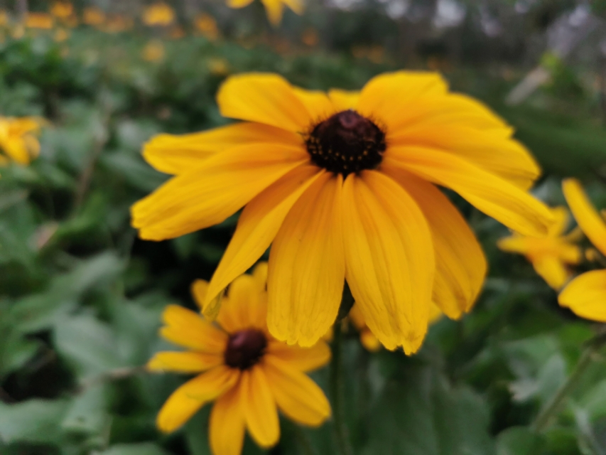 我想和你接吻古文,我想和你接吻歌词