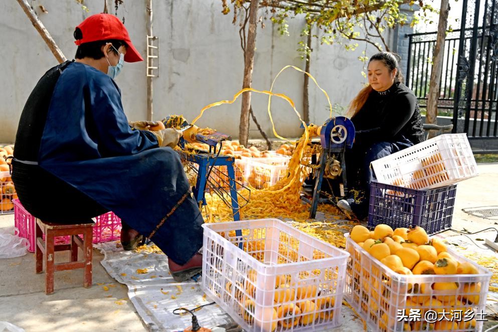儿子从大企业辞职回乡卖“金饼”,父亲脸上笑开花:一年挣几十万