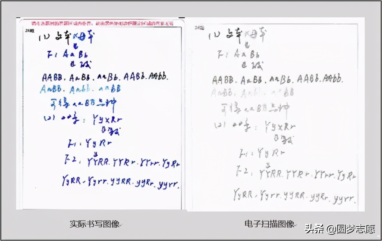 高考阅卷流程动画视频,高考阅卷全过程