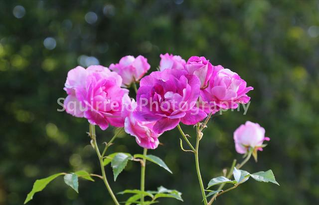 哪个股指期货杠杆最大,哪个券商融资杠杆最高