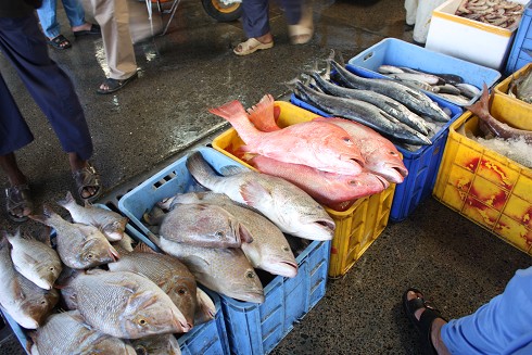 迪拜购物超过多少钱要上税,迪拜购物为什么便宜